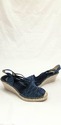 Vidorreta Women's Darla Slingback Wedge (10, Navy)