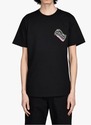 To add this item in your Shopping Cart drag and drop this picture there