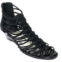 To add this item in your Shopping Cart drag and drop this picture there