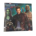 Guardians of the Galaxy Vol. 2 16 Month 2018 Mini 