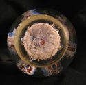 Paperweight Tubed 6 Petal Flower on Bed of Bubbles