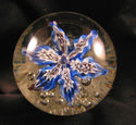 Paperweight Tubed 6 Petal Flower on Bed of Bubbles