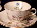 Franconia Krautheim MEADOW FLOWERS 2 Tea Cups & Sa