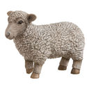 To add this item in your Shopping Cart drag and drop this picture there