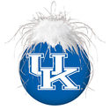 University Of Kentucky Glass Ball Christmas Orname