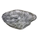 To add this item in your Shopping Cart drag and drop this picture there