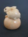Japanese  netsuke - DeLuxe RABBIT on Round Fruit(P