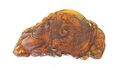 Chinese Amber Dragon Emblem- Grass DRAGON  of Chin