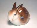 German Grafenthal Cute Brown Rabbit sits quietly M