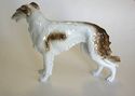 German Grafenthal 1 Borzoi/Russian Wolfhound Dog s