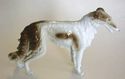 German Grafenthal 1 Borzoi/Russian Wolfhound Dog s