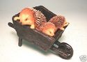 English Bowbrook Hedgehog Family dwell in Wheel ba