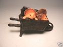 English Bowbrook Hedgehog Family dwell in Wheel ba