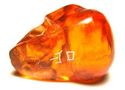 Japanese amber netsuke/ojime-Small Deadly Skull,si