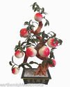 Large Sculpted Bonsai Apple Tree 25 inch