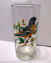 Baltimore Oriole Bird Drinking Glass 5.5"