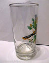 Baltimore Oriole Bird Drinking Glass 5.5"