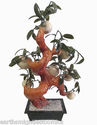 Large Sculpted Bonsai Apple Tree 25 inch