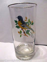 Baltimore Oriole Bird Drinking Glass 5.5"