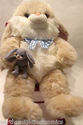 JC Penney Large Plush Easter Bunny Rabbit Tan 24" 