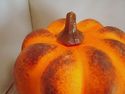 Fake Vegetables Fall Autumn Faux Artificial Prop T