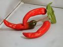 Fake Chili Peppers Red Grouping Vegetables Faux Ar