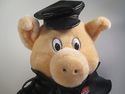 Harley Davidson Motorcycles Plush Pig Hog Bike Stu