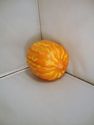 Fake Vegetables Fall Autumn Faux Artificial Prop T