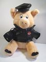 Harley Davidson Motorcycles Plush Pig Hog Bike Stu