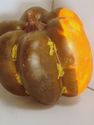 Fake Vegetables Fall Autumn Faux Artificial Prop T