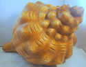 HUGE Conch Shell Red Clay Folk Art Pottery Sculpte