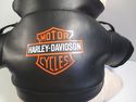 Harley Davidson Motorcycles Plush Pig Hog Bike Stu