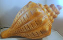 HUGE Conch Shell Red Clay Folk Art Pottery Sculpte