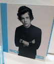 One Direction Harry Styles Bundle Binder Bracelet 