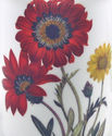 PAIR ENGLISH PREMIUM FINE CHINA MUGS - GERBERA DAI