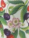 Pair Fine English Bone China Mugs - Sweet Cherry C