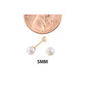 Round Pearl Earrings 10k Yellow Gold Screw Back 5m