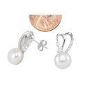 Sterling Silver White Freshwater Pearl Stud Earrin