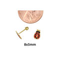 10k Yellow Gold Lady Bug Screwback Stud Earrings H