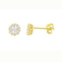 Fancy Stud Earrings Yellow Gold Plated Pave White 