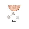 Sterling Silver Round Halo Cubic Zirconia Stud Ear