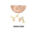 10k Tri Color Gold Dolphin Stud Earrings Screwback