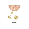 10k Yellow Gold Flower Screwback Earrings Laser Cu