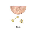 10k Yellow Gold Mini CZ Flower Stud Earrings with 