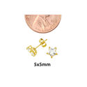 10k Yellow Gold Clear CZ Star Stud Earrings with P