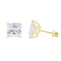 Square Princess Cut Clear CZ Stud Earrings Screwba