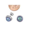 Black Pearl Stud Earrings 11mm Silver Circle Setti