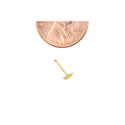 14k Yellow Gold Daisy Flower Nose Stud 20g Nose Bo