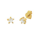 10k Yellow Gold Clear CZ Star Stud Earrings with P