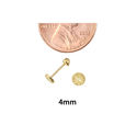 Laser Cut Circle Stud Earrings 10k Yellow Gold wit